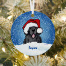 Zoek naar newfoundland ornamenten Newfie