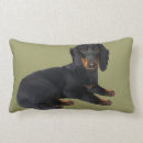 Zoek naar dachshund kussens Hond