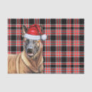Zoek naar belgisch tissue papier Elk persoon