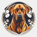 Zoek naar ridgebacks stickers Portret