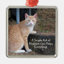 Zoek naar tabby cat ornamenten Gemberkat