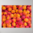 Zoek naar voedsel afbeeldingen posters Elk persoon