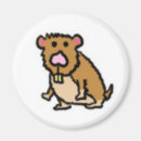 Zoek naar grappige hamster magneten Knaagdier