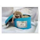 Zoek naar hedgie Blauw