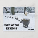Zoek naar eendjes briefkaarten Eenden