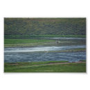 Zoek naar pelikanen posters Landschap