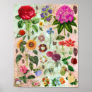 Zoek naar botanische illustraties posters Elk persoon