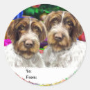 Zoek naar pointers stickers Honden