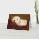 Zoek naar thinking of you kaarten Puppy