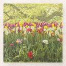Zoek naar tulpen onderzetters Lente