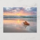 Zoek naar shell beach briefkaarten Zee