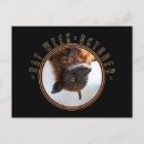 Zoek naar vleermuis briefkaarten Vleermuizen