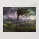 Zoek naar boom briefkaarten Landschap