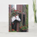 Zoek naar roze paard kaarten Paarden