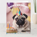 Zoek naar grappige pug kaarten Dieren