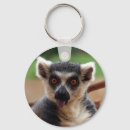 Zoek naar lemur sleutelhangers Wilde dieren