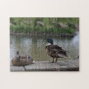 Zoek naar wilde eend puzzels Eenden