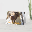 Zoek naar grappig laboratorium kaarten Chocolade