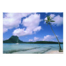 Zoek naar tahiti Kust