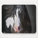 Zoek naar horse muismatten Portretten
