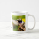 Zoek naar malen mokken Vogels