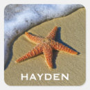 Zoek naar zeester stickers Sealife