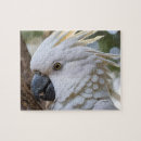 Zoek naar kaketoe puzzels Papegaai