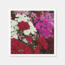 Zoek naar anjers servetten Elk persoon