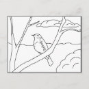 Zoek naar roodborstje briefkaarten Vogel