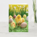 Zoek naar pasen kuiken briefkaarten Easter