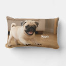 Zoek naar pugs kussens Elk persoon