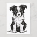 Zoek naar sheepdog briefkaarten Puppy