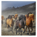 Zoek naar spoor tegels Wild