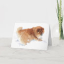 Zoek naar sneeuw engel kaarten Hond