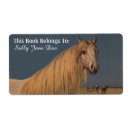 Zoek naar arabische borden Woestijn