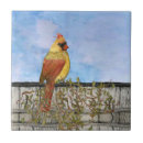 Zoek naar vrouw met rood haar tegels Oranje