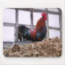 Zoek naar wortel muismatten Rooster