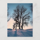 Zoek naar wintertijd briefkaarten De winter