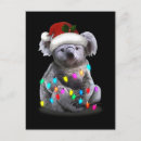 Zoek naar koala kerstmis briefkaarten Dier