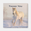 Zoek naar paard magneten Boerderij