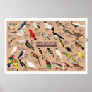 Zoek naar vogelafbeeldingen posters Natuur