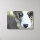 Zoek naar australian shepherd kunst Blauwe merle