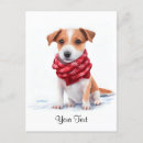 Zoek naar jack russell terrier briefkaarten Puppies
