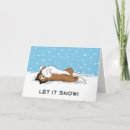 Zoek naar shetland kaarten Hond