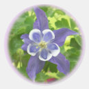 Zoek naar langzaam verdwenen Bloemen