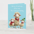 Zoek naar grappige schapen kaarten Kerstmis