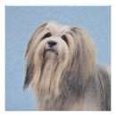 Zoek naar havanezer posters Hond