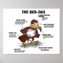 Zoek naar roofvogel cartoon posters Voor iedereen