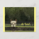Zoek naar alpaca briefkaarten Schattig