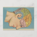 Zoek naar frenologie Anatomie